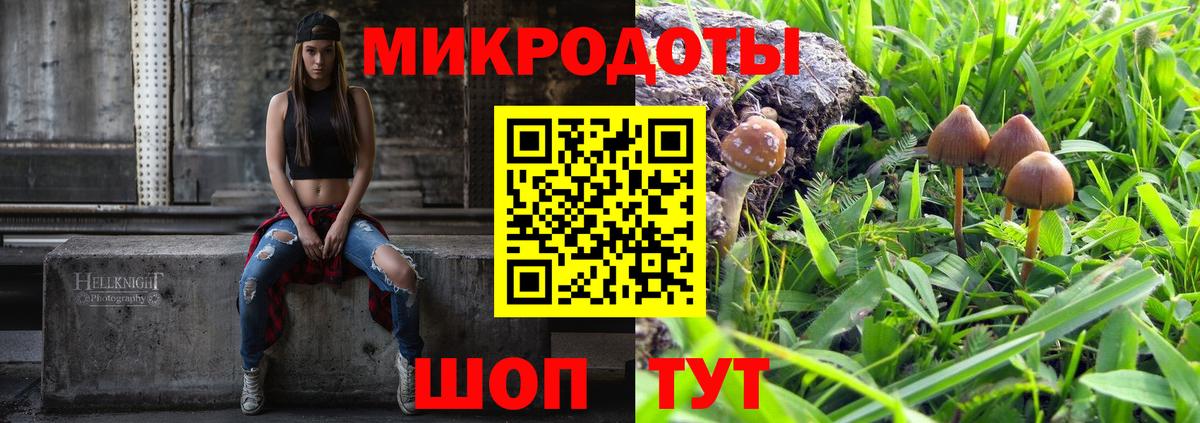Псилоцибиновые грибы Cubensis Славянск-на-Кубани